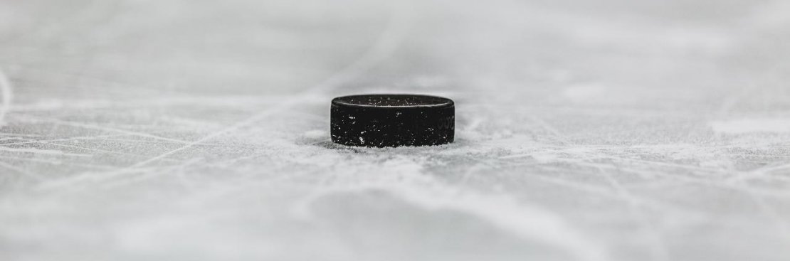 Smitsom sygdom At redigere Den aktuelle Ishockeypuck Vægt - Så Meget Vejer En Puck - magicsport.dk
