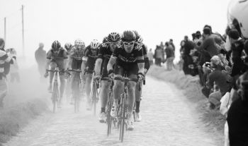 Flest etapesejre i ét Tour de France